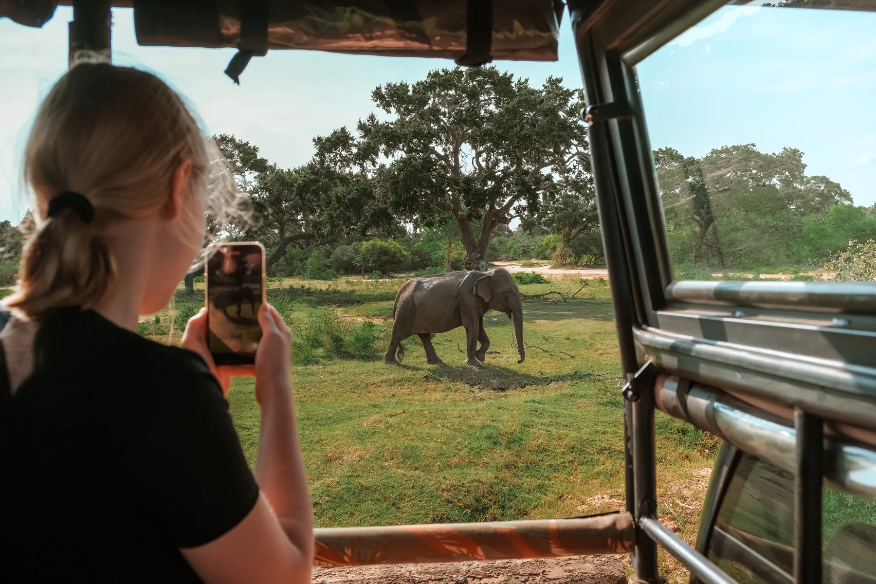Traveller photographing an elephant from a safari vehicle
