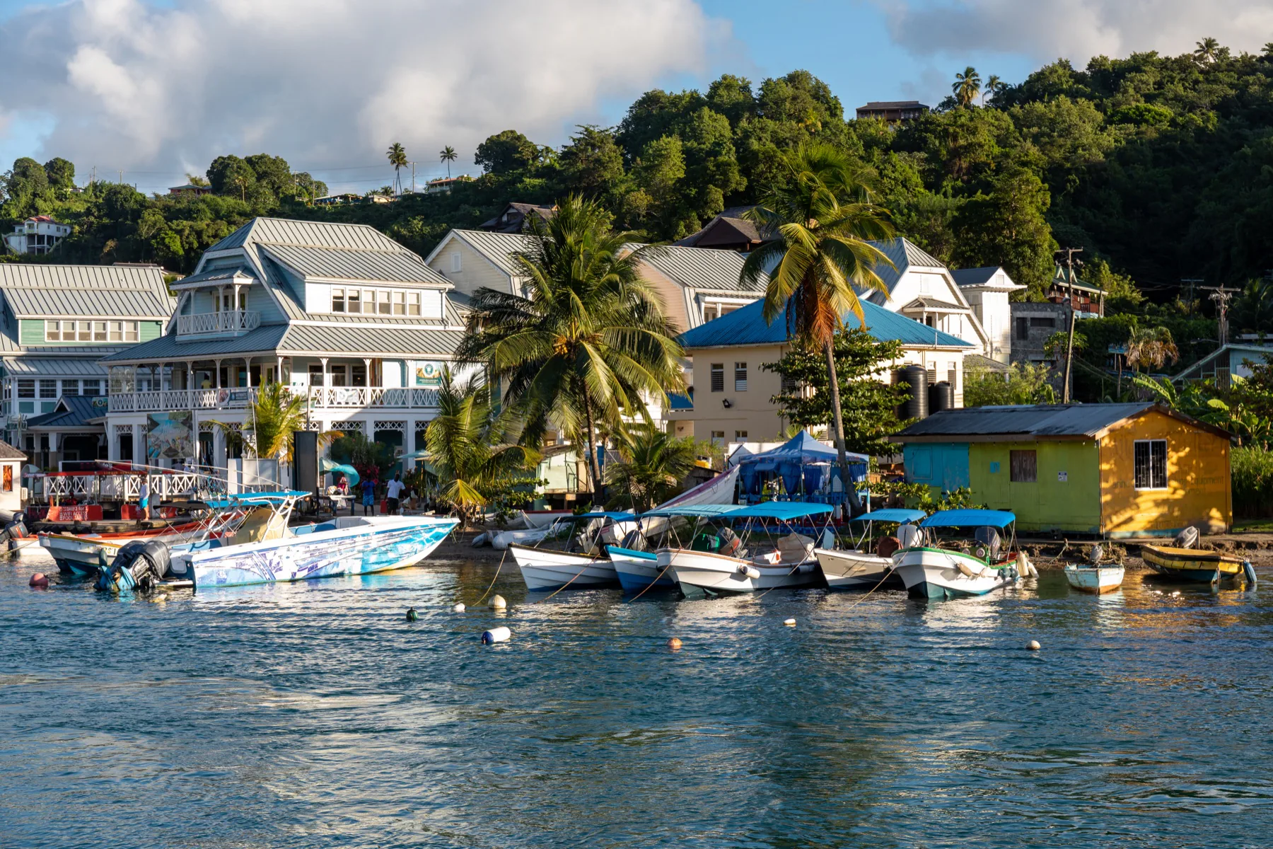 Colourful Caribbean harbour with palm trees, waterfront houses and small boats