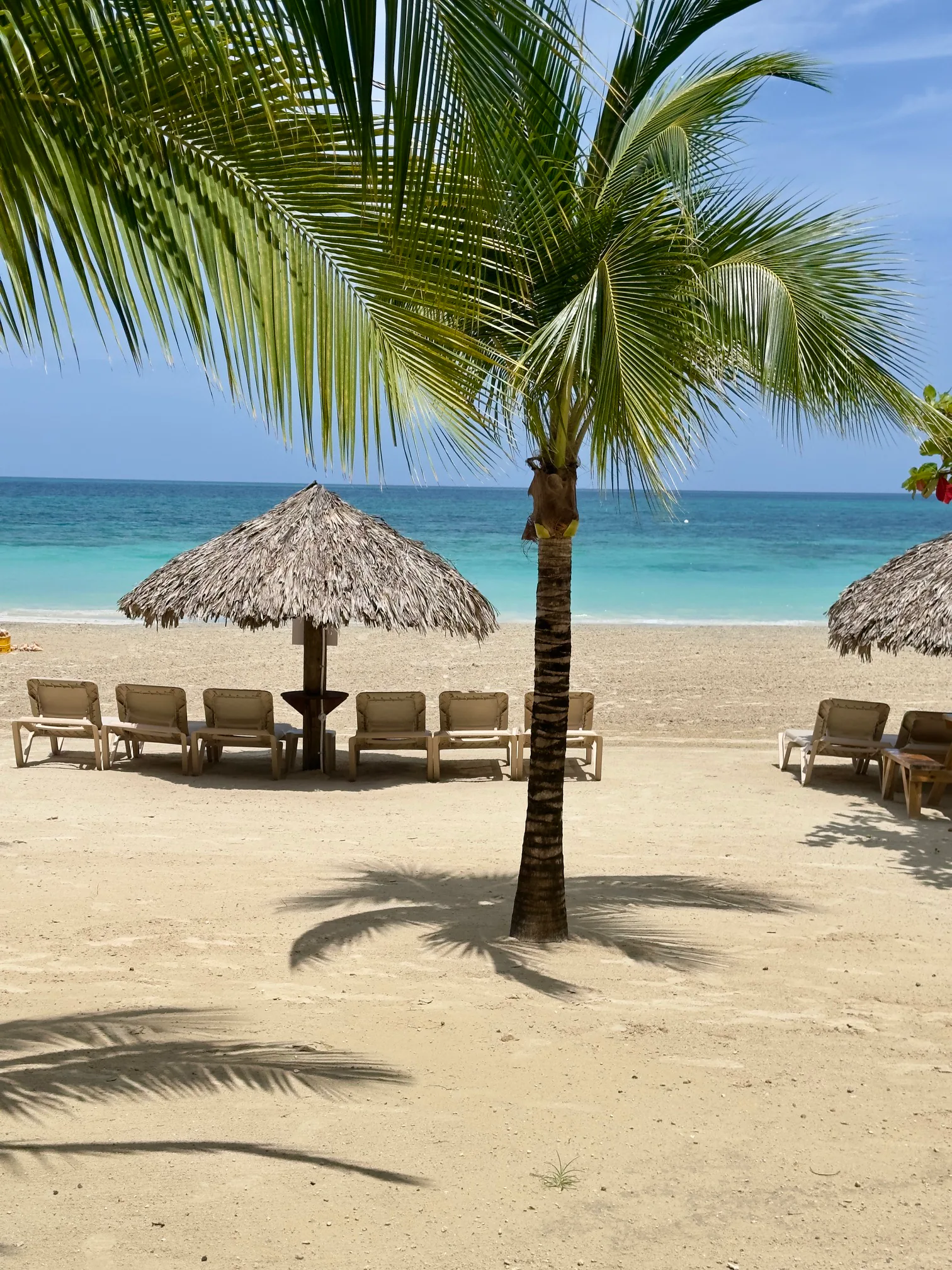 Caribbean beach and turquoise sea